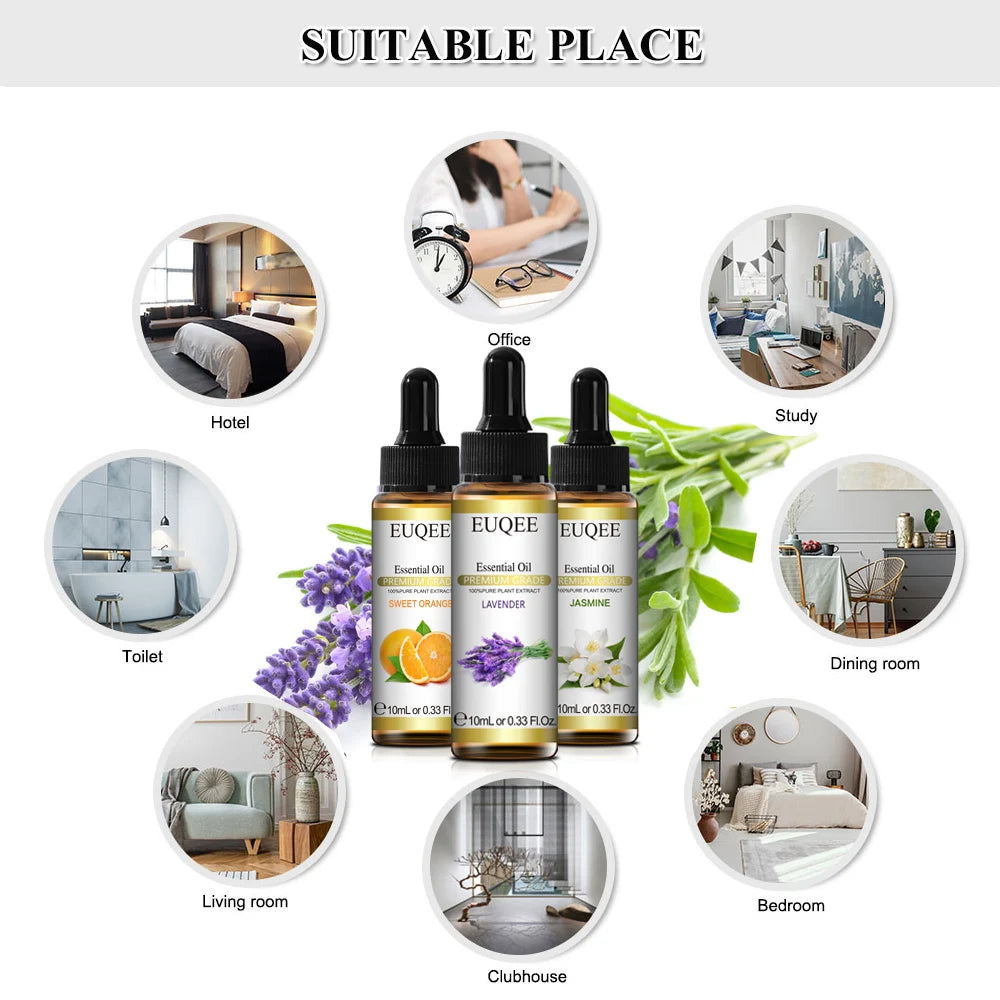 Indulge Your Senses with 10ml Natural Plant Essential Oils - Lavender, Jasmine, Eucalyptus, and Vanilla for Diffusers & Humidifiers